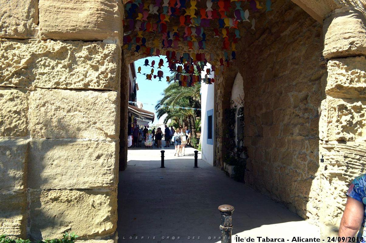 21 ALICANTE L ILE DE TABARCA (67).JPG